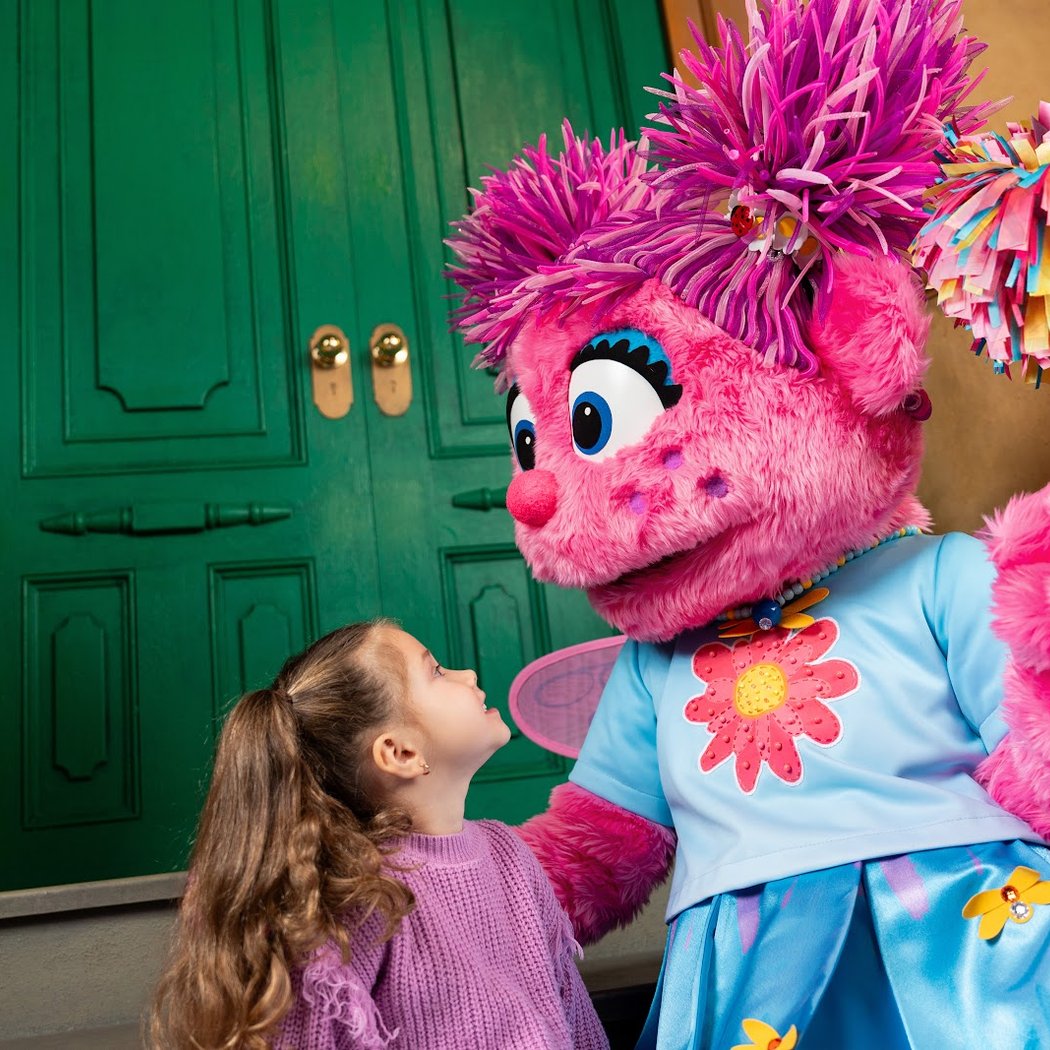 Sesame Street Learn & Play 1