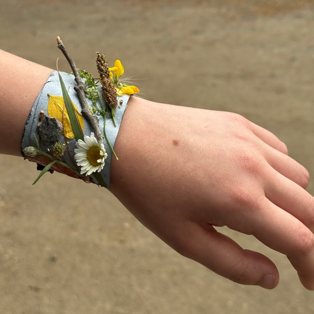 Innisfree Explorers: Nature-Inspired Art