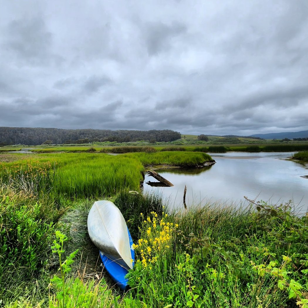 Pescadero Marsh Trail 1