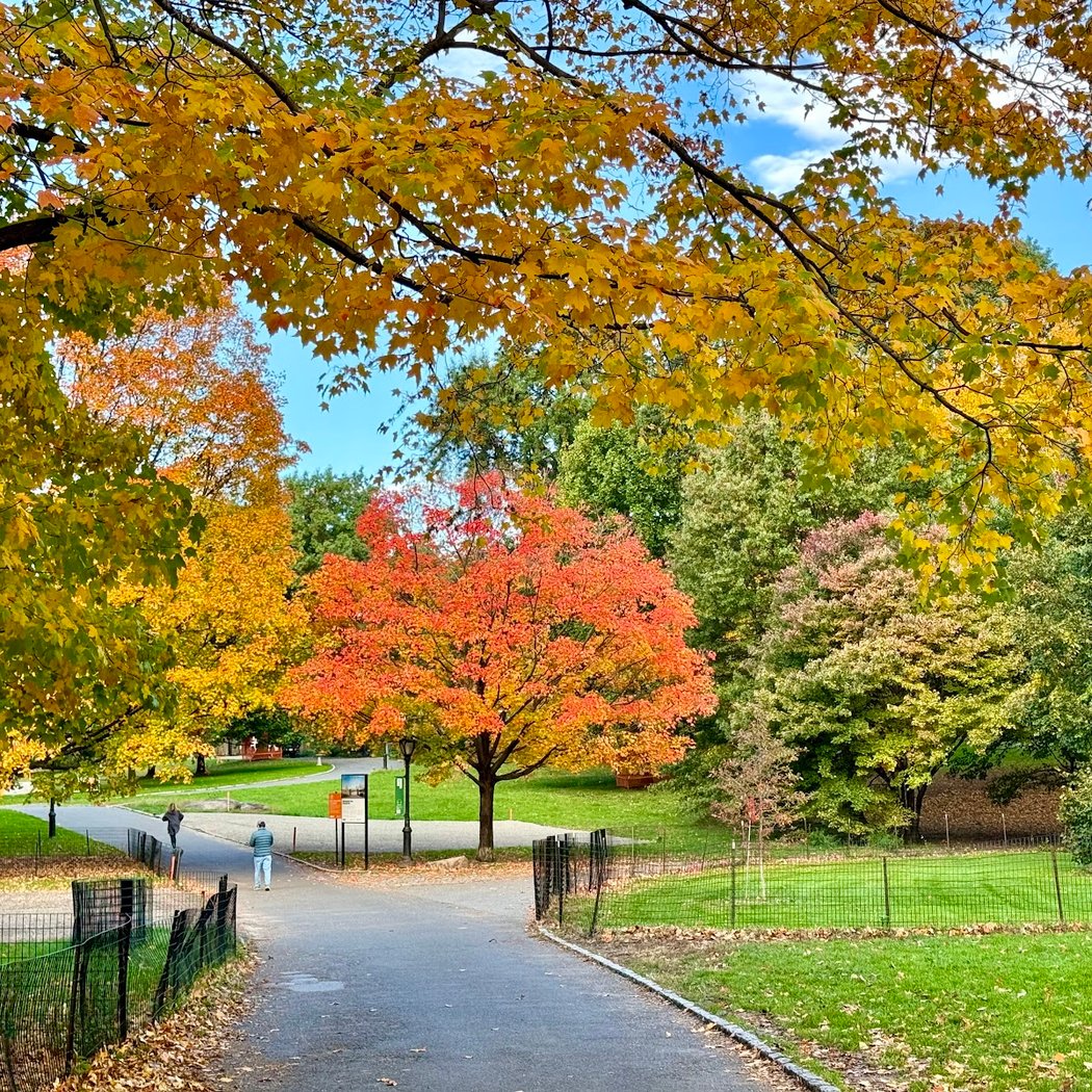 East Meadow 1