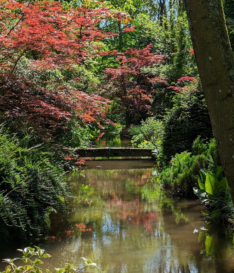 Visite de l'arboretum 2