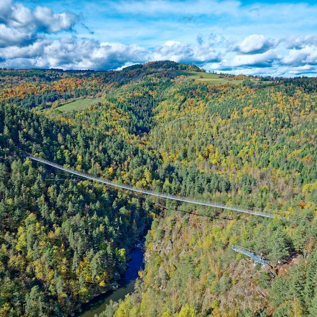 Passerelle des Gorges du Lignon 1