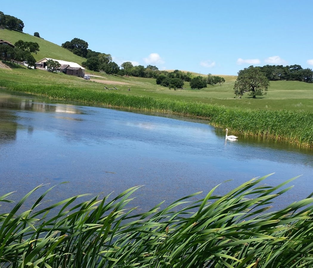 Reis River Ranch Winery 1