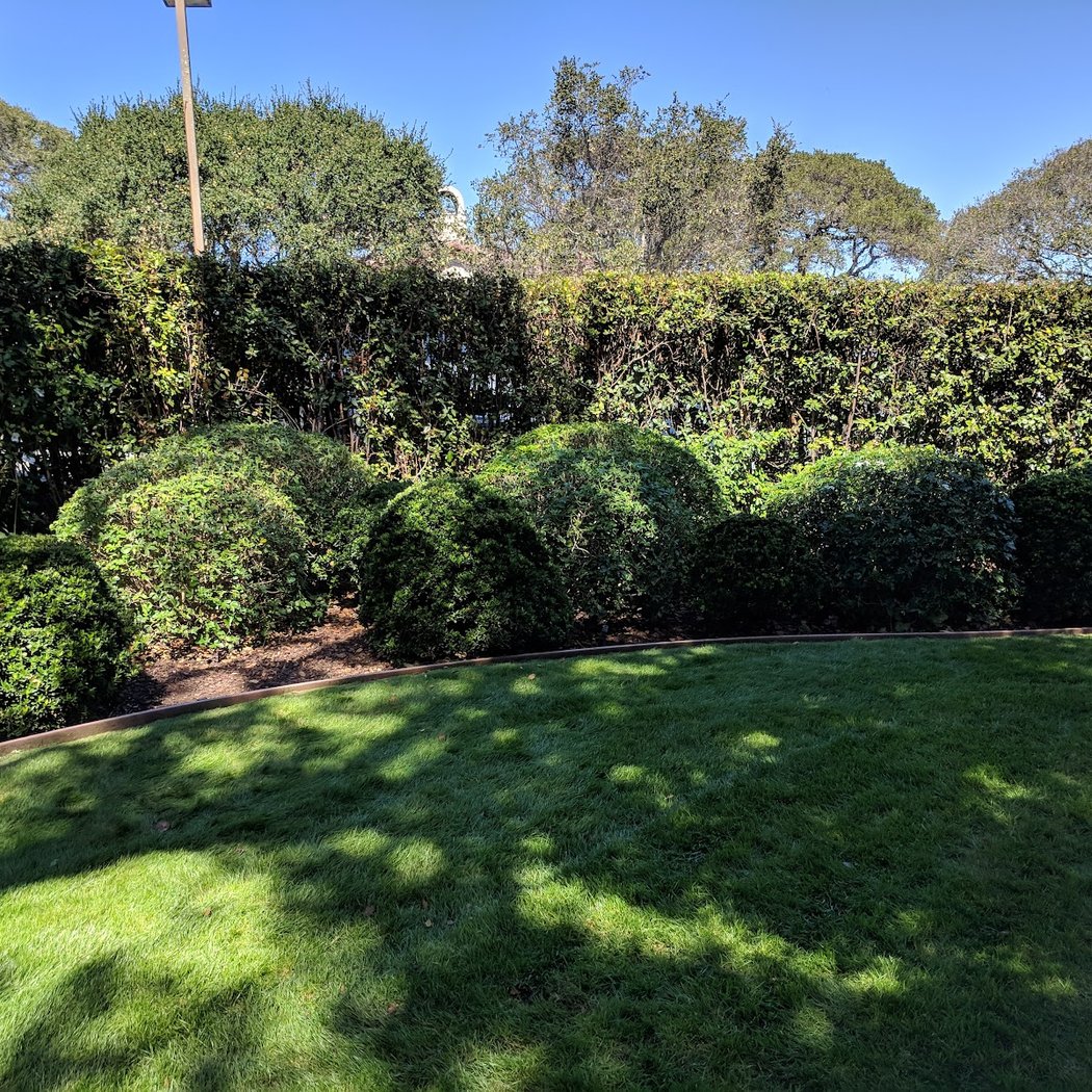 Introduction to Aesthetic Pruning with the Marin Master Gardener Pruning Guild 1