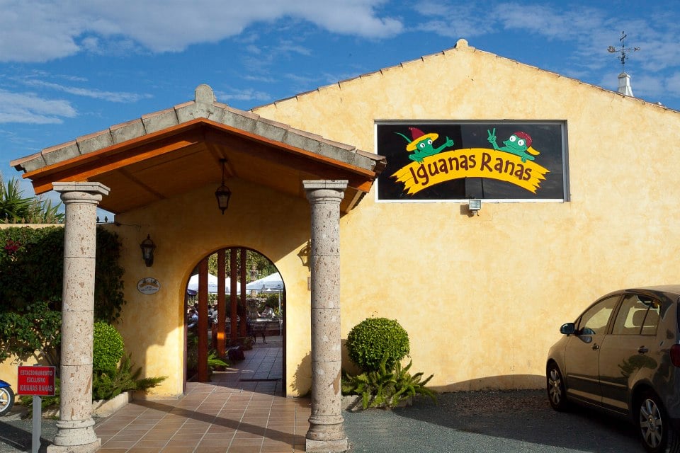 Iguanas Ranas 2
