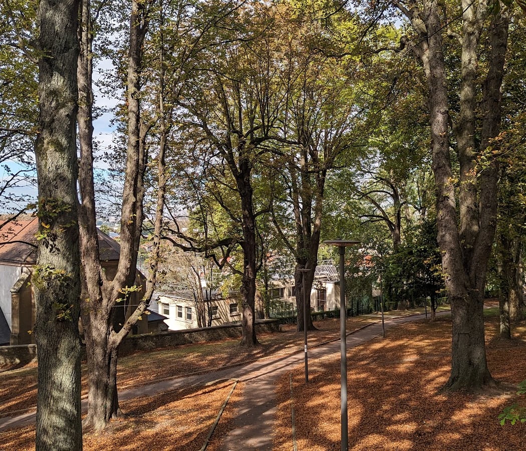 Parc de Beauregard 4