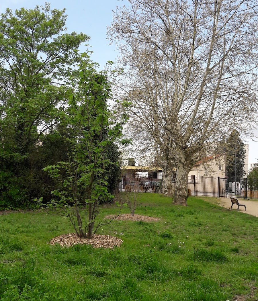Parc Alexis Jordan 3