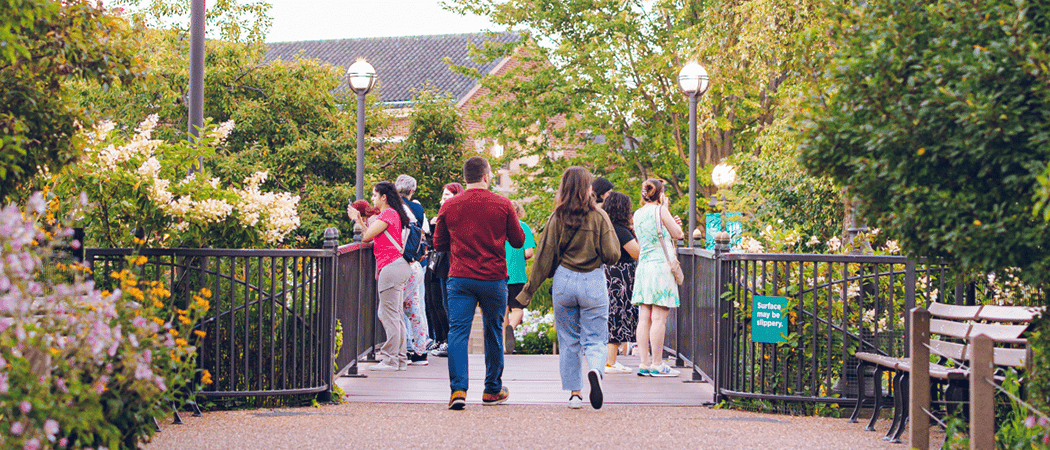 Sunset Garden Tours
