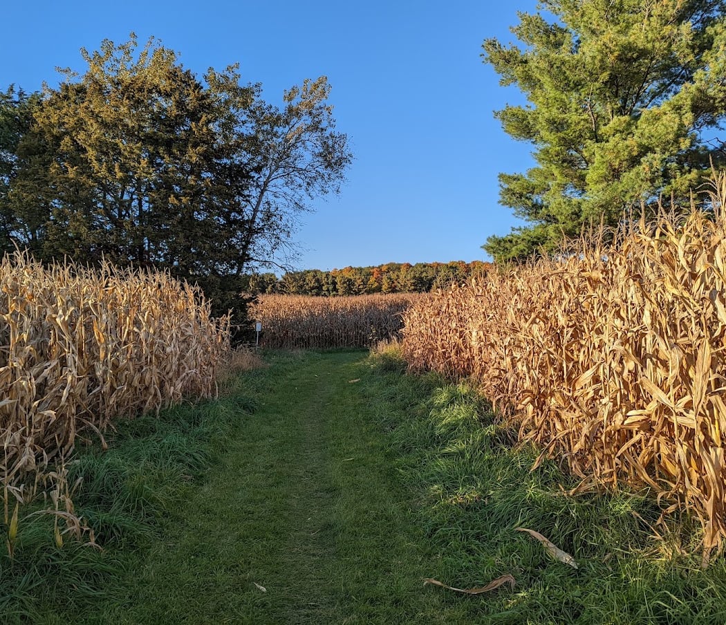 Habitat Hike with Cedar Lakes Conservation Foundation 3