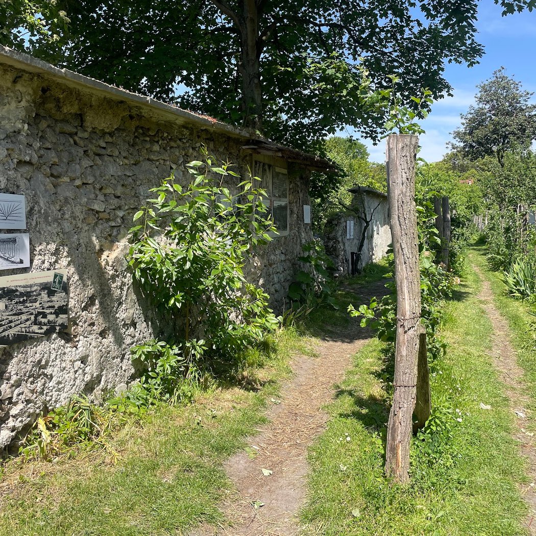 Visite du jardin et atelier nichoir 3