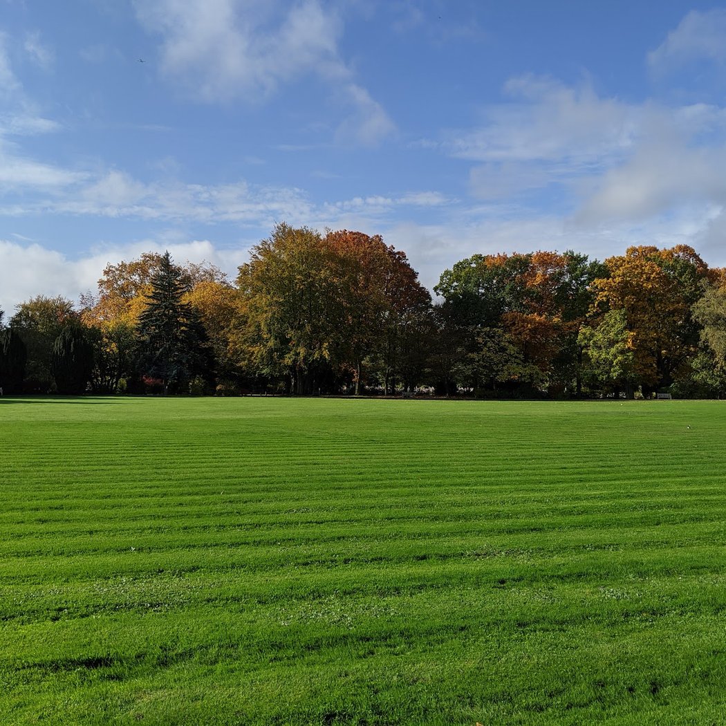 26ème édition Foulée Verte de Clamart 3