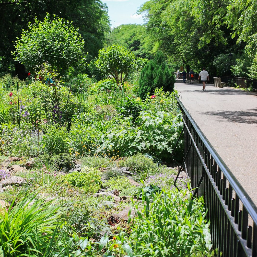 West 91st Street 1