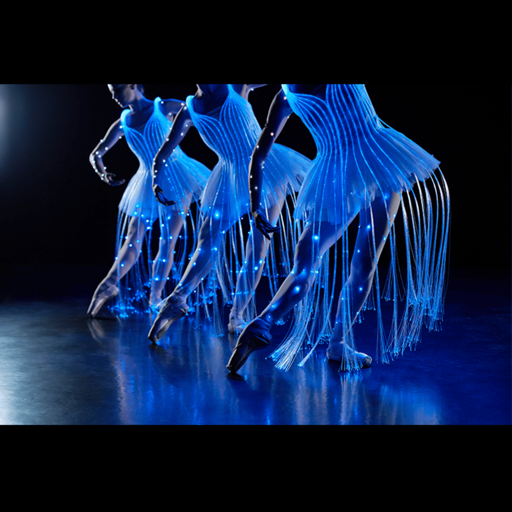 We call it Ballet: La Bella Durmiente 1