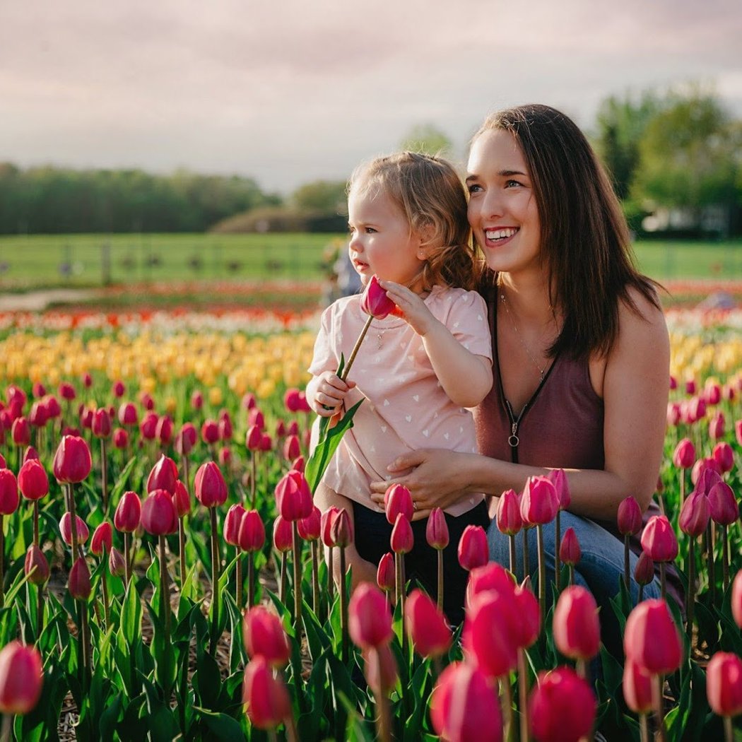 Tulipes.ca 1