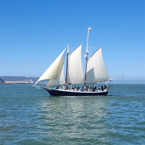 Sunday Afternoon Sail - Memorial Day Weekend 2