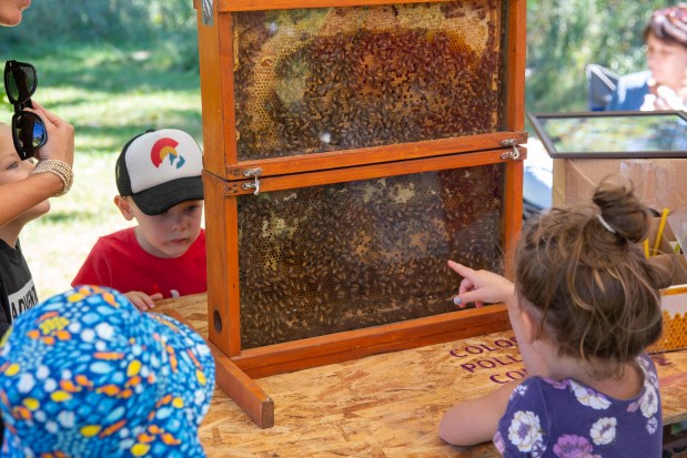 Kids Markets at Honeybee Festival 2