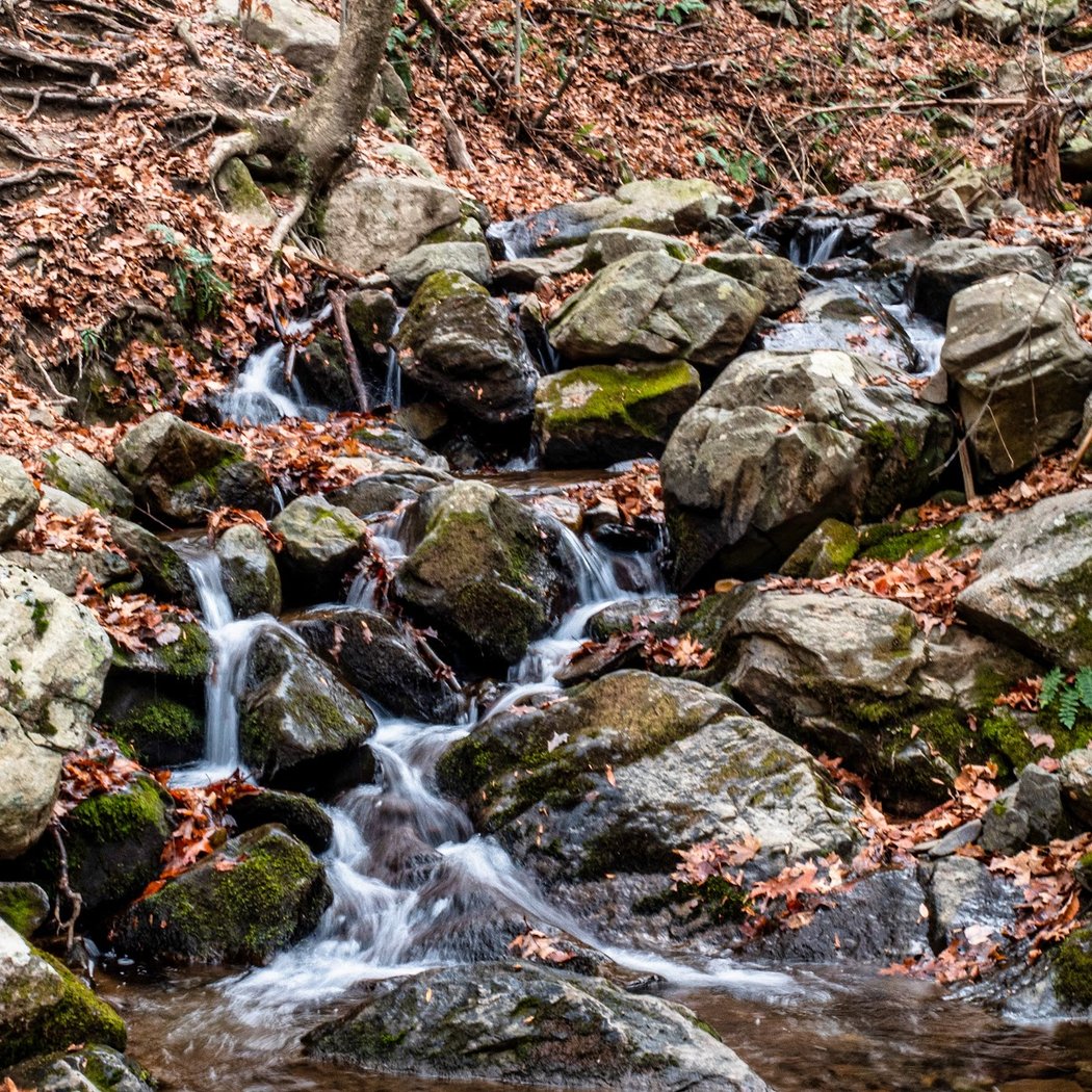 Fishkill Ridge Trail 2
