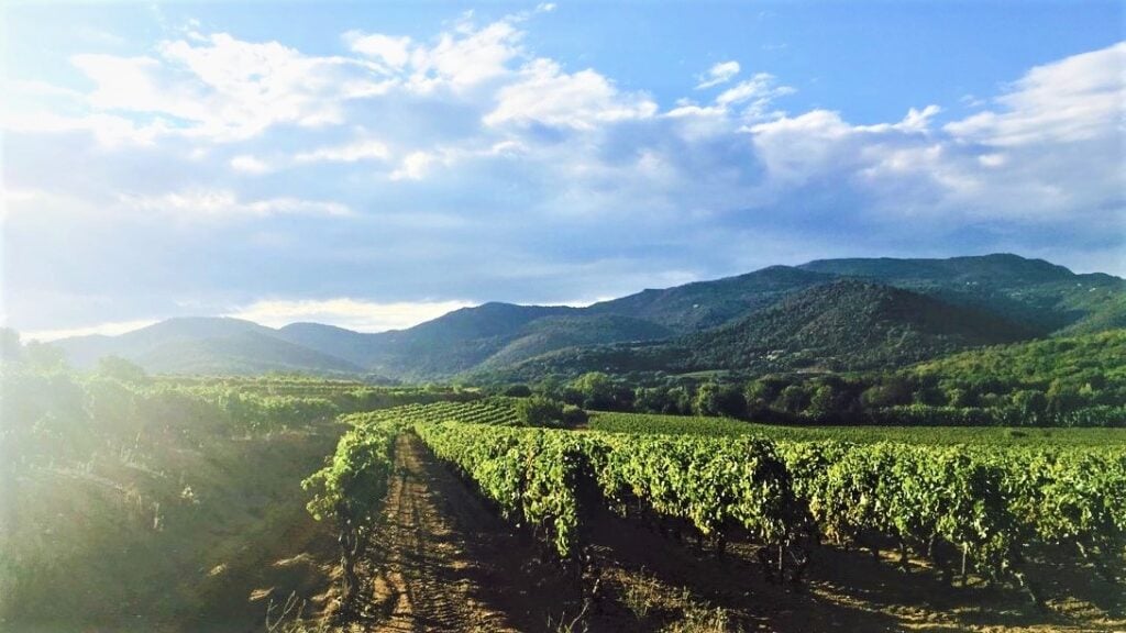 Domaine de la Giscle 1