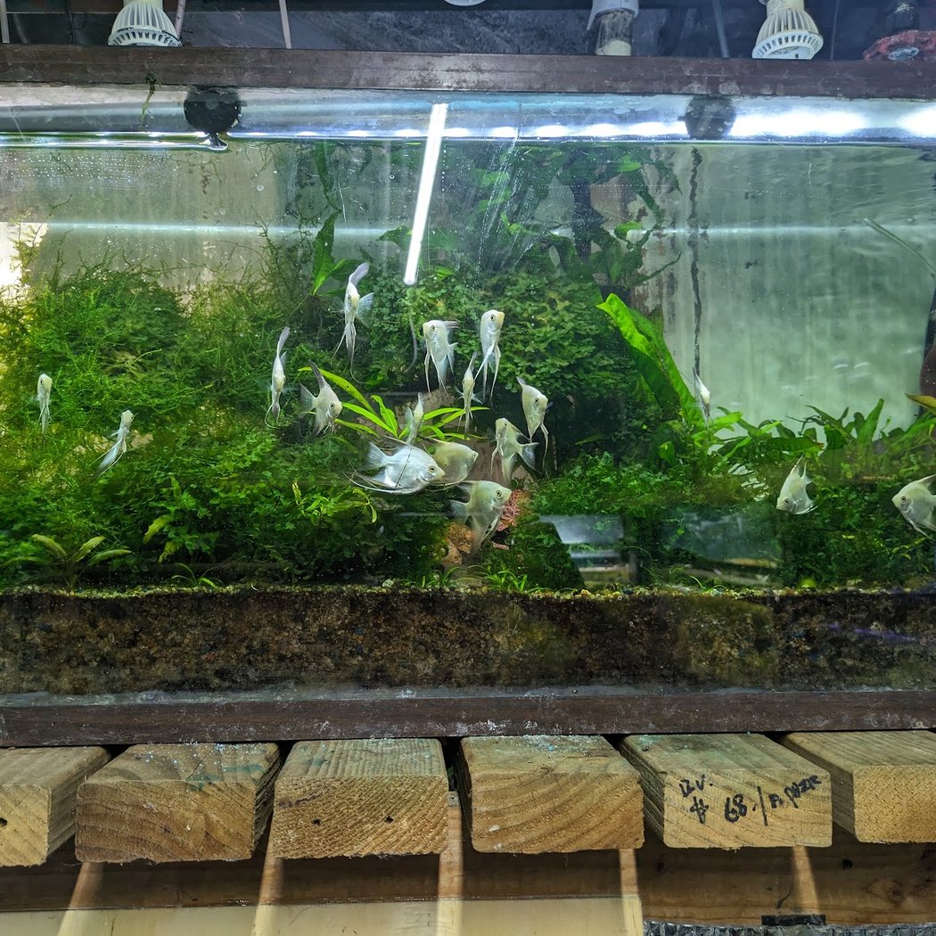 Ocean Aquarium 1