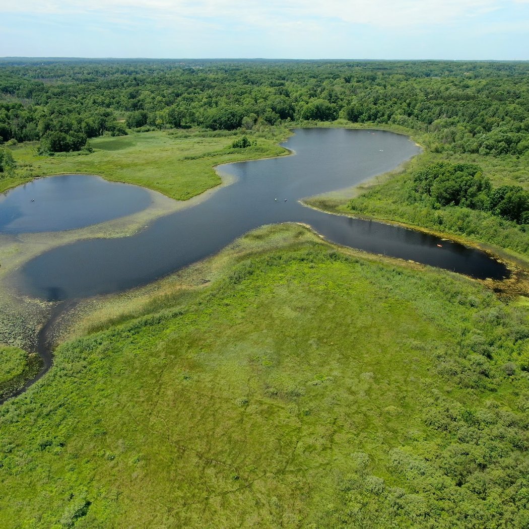 Bald Mountain State Recreation Area 3