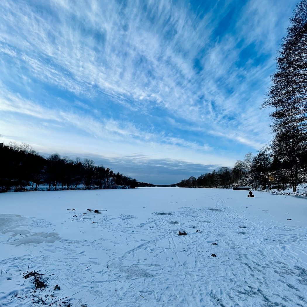 Vinterviken 1