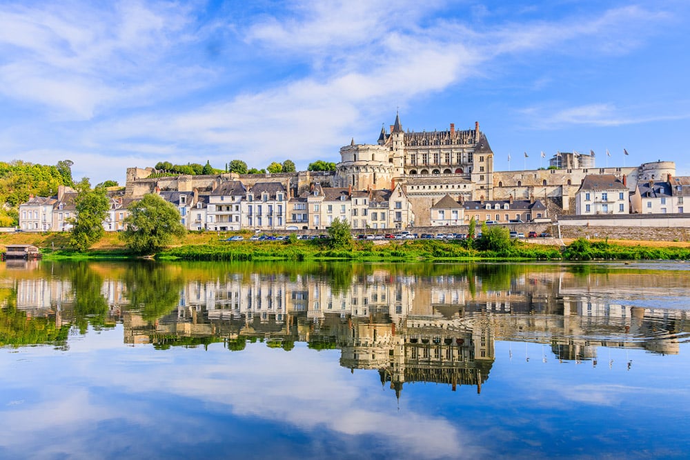 Château Royal d'Amboise 1