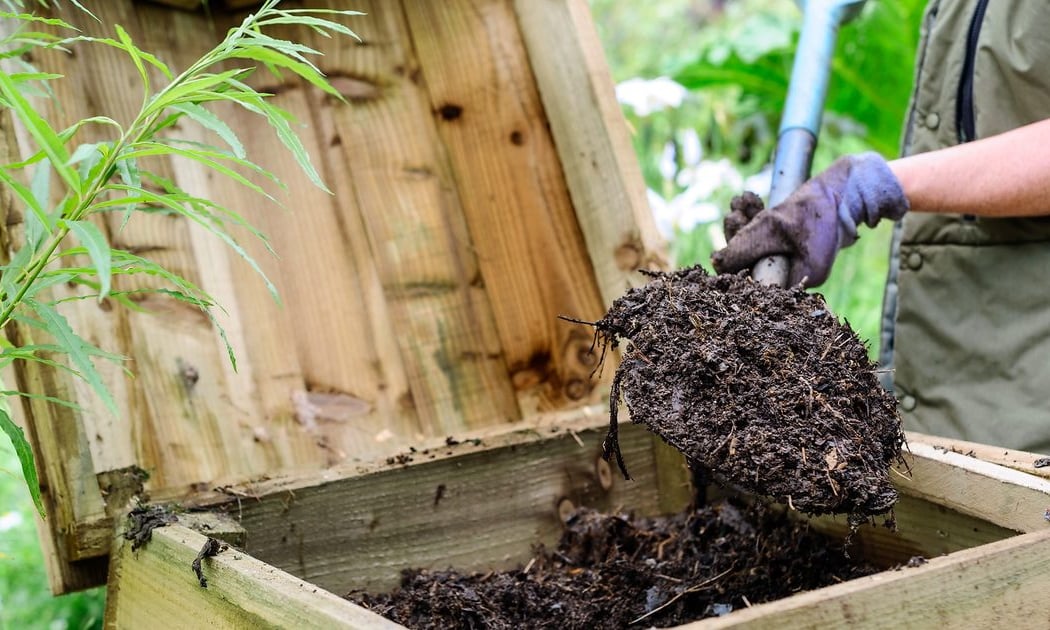 Learn to Compost 3