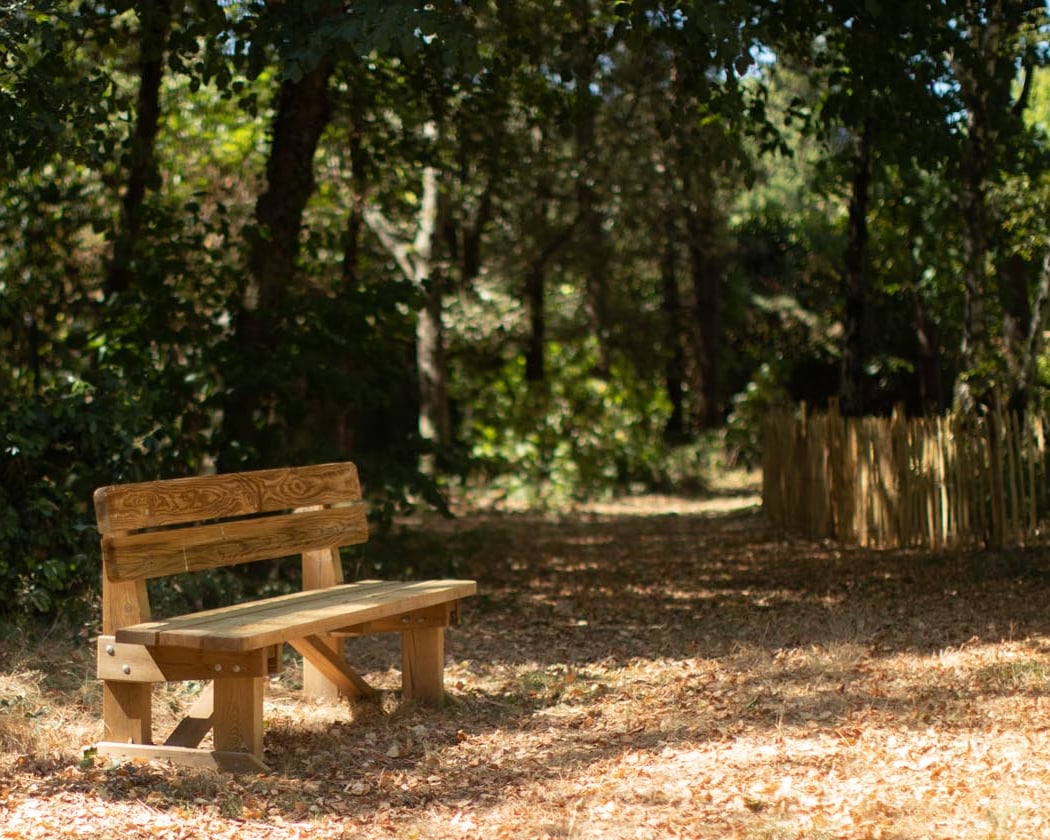 Naudières Woods 1
