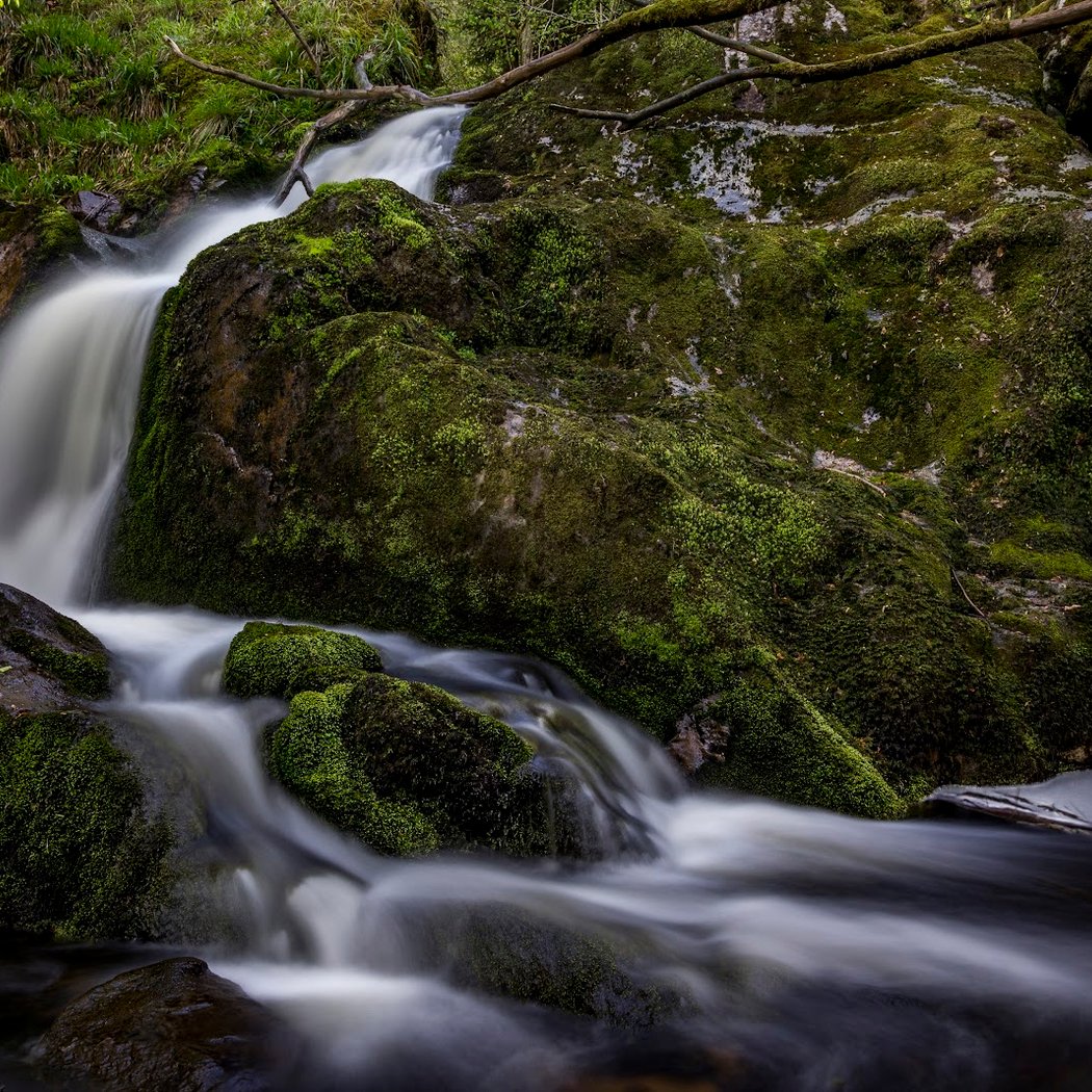 Gorges de la Canche 2