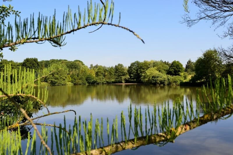 Versailles-Chèvreloup Arboretum 2