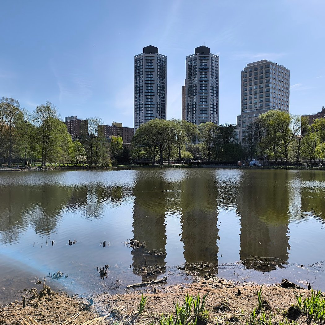Harlem Meer 5