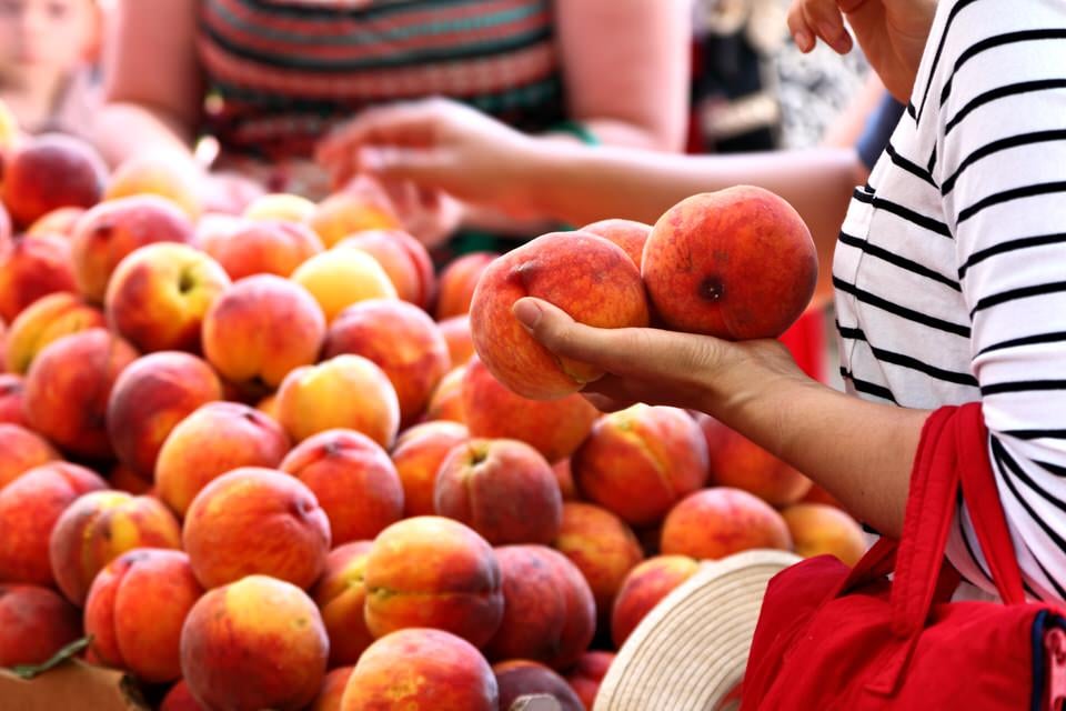 Willow Glen Farmers’ Market 1