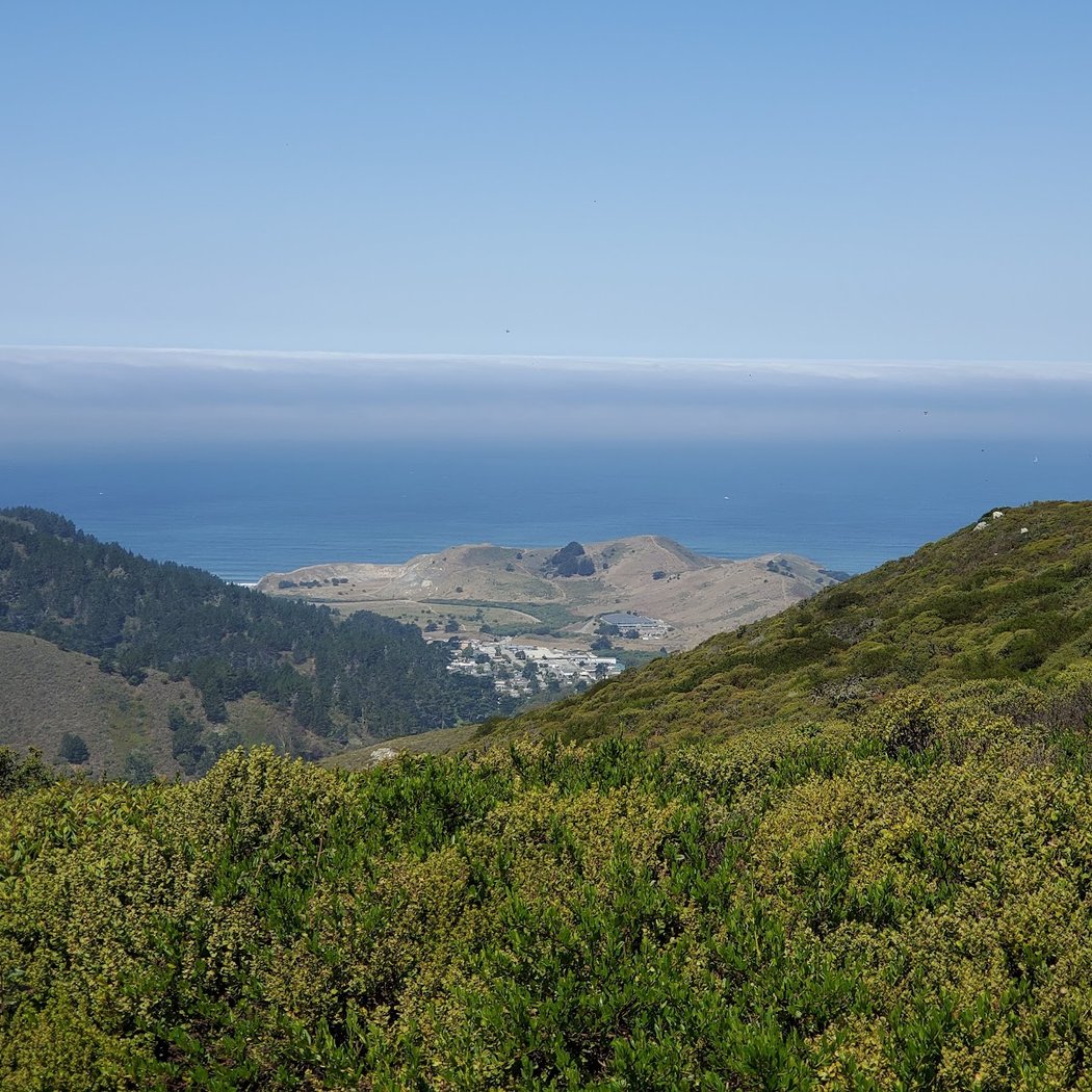 Sweeney Ridge Trail 3