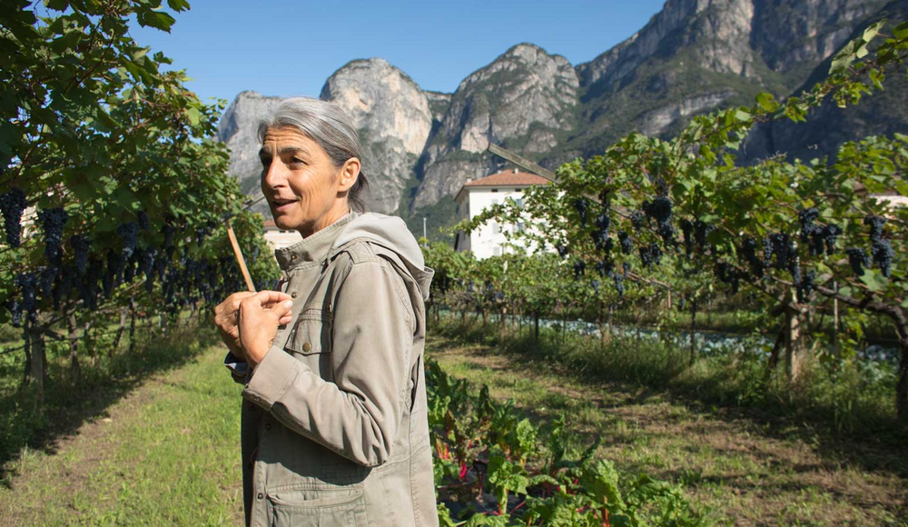Foradori: Trailblazer in the Dolomites 1