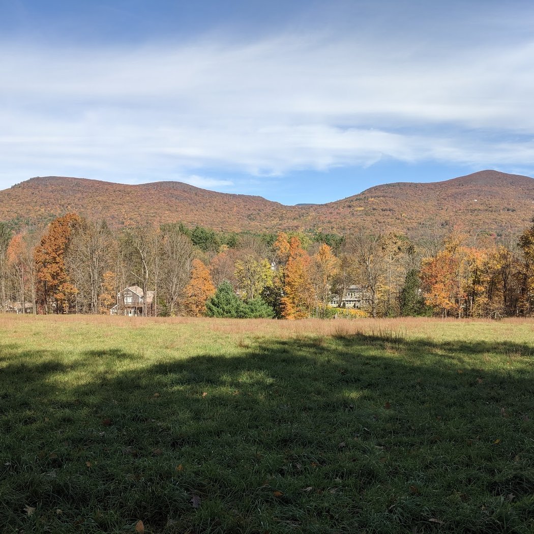Woodstock Shakespeare Festival 2