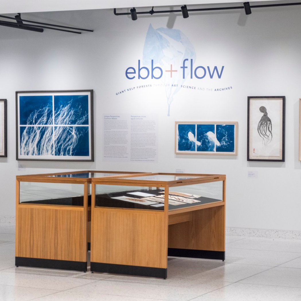 Oriana Poindexter: Field Notes Exhibition 3