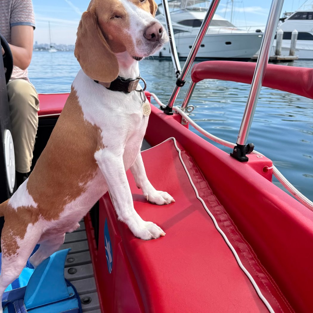 Eco Boat Rentals 1