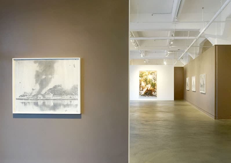 Matthew Brandt: From The Ashes 1