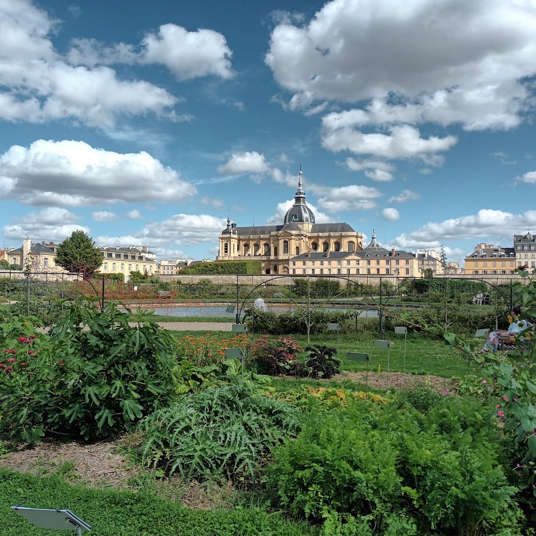 Exposition « Versailles, 400 ans de recherche en biologie végétale » 2