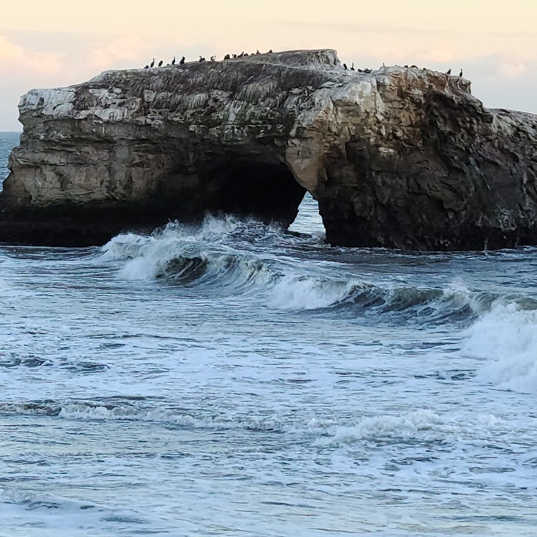 Natural Bridges Tidepools 2