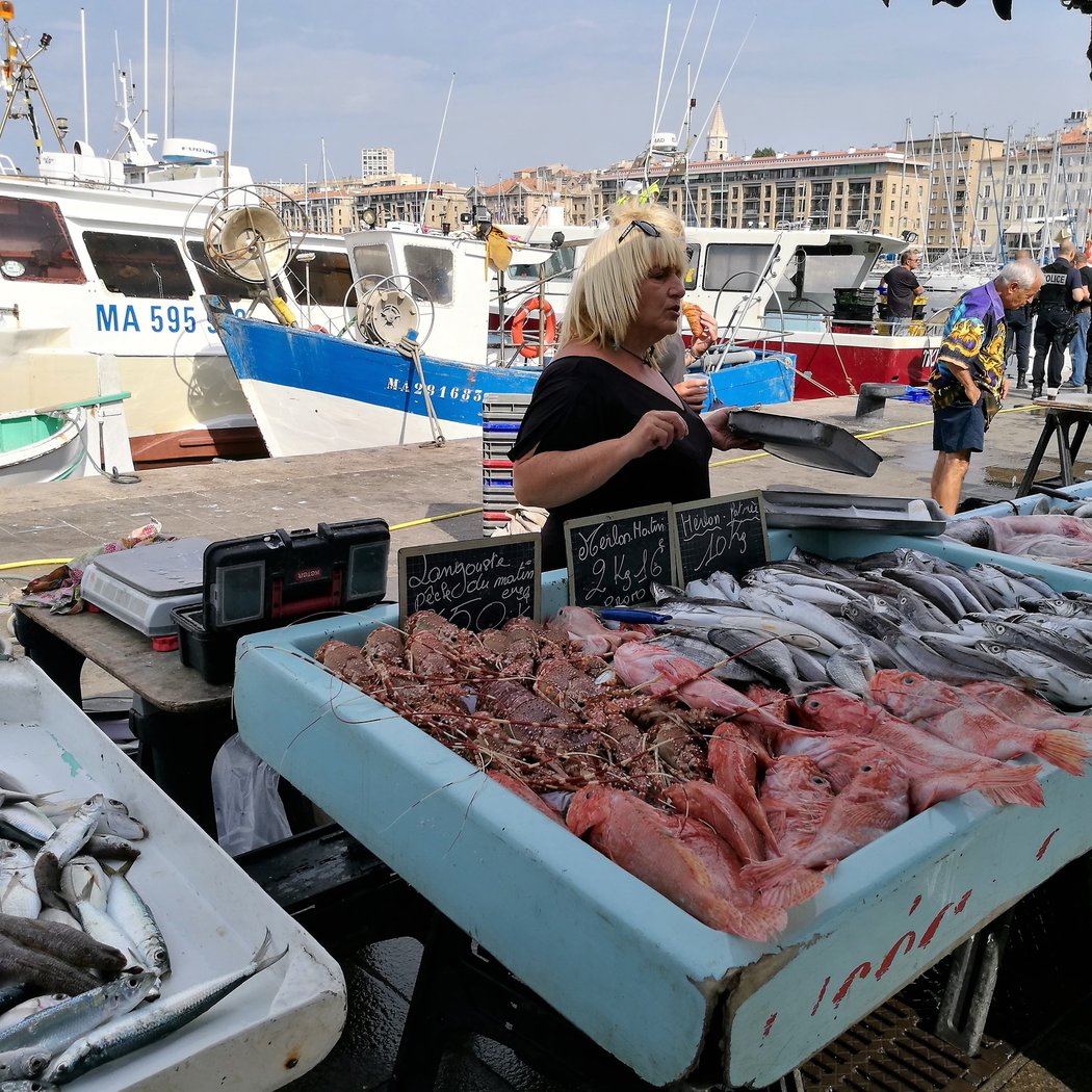 Daily Fish Market 2