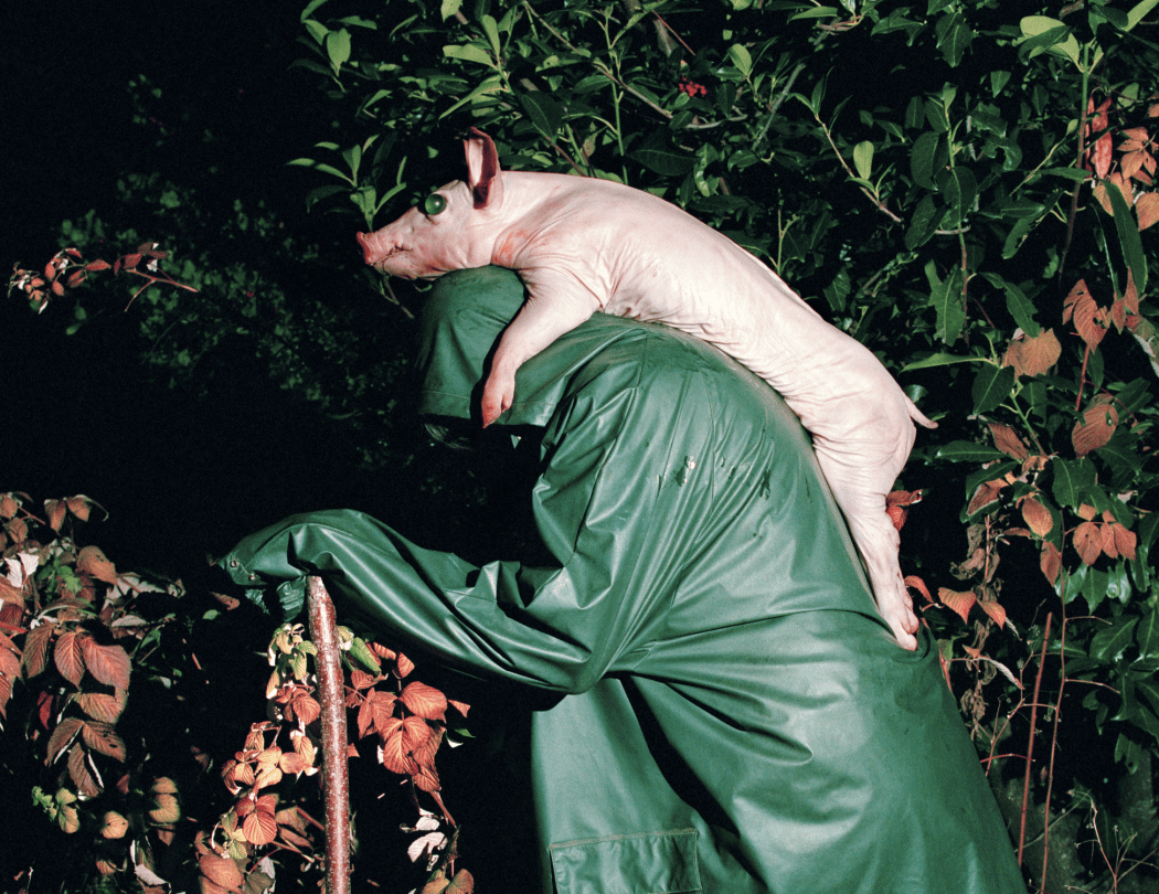 Philophobia – Intergalaktisches Cruisen im dunklen Wald
