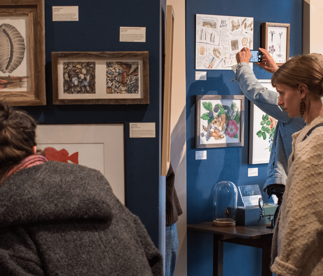 Member Opening: The Art of Nature 1