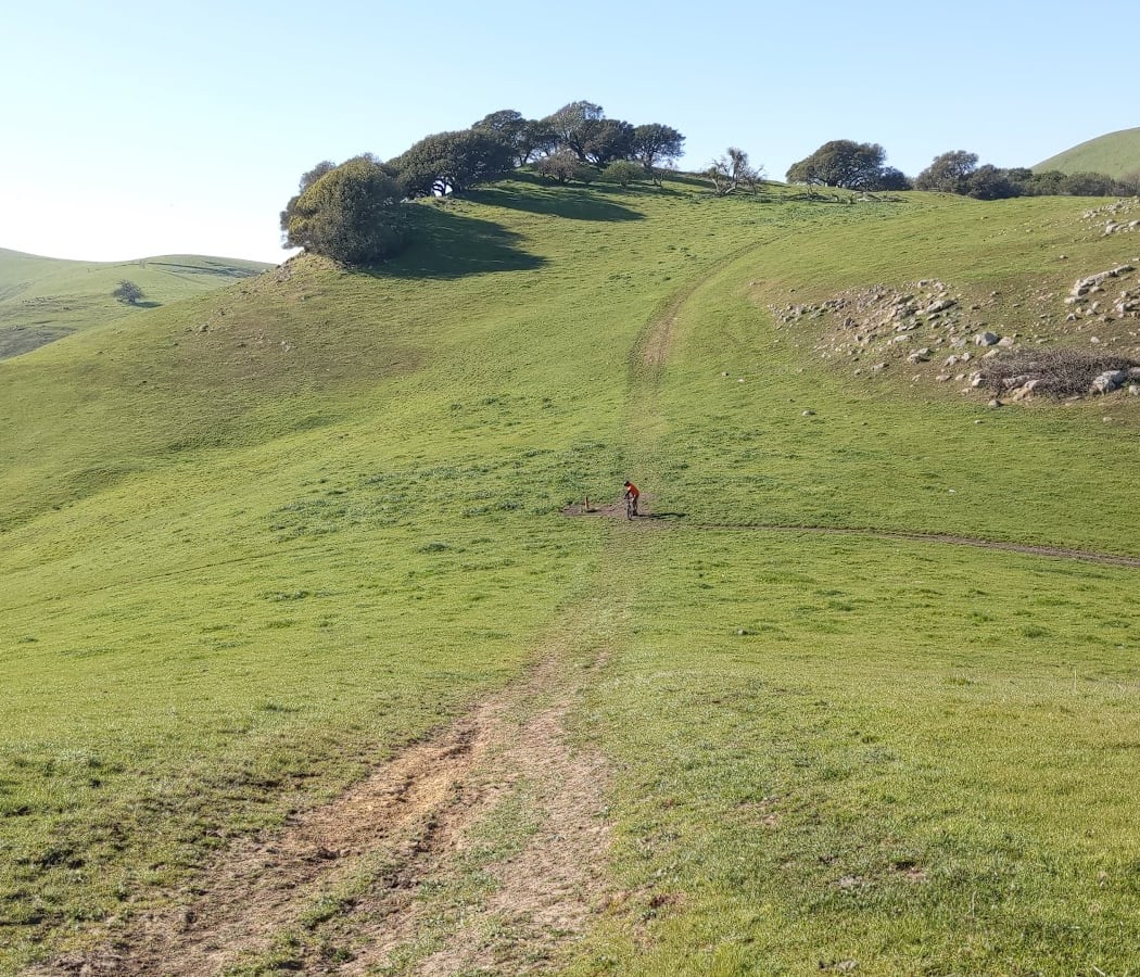 Lynch Canyon Open Space 1
