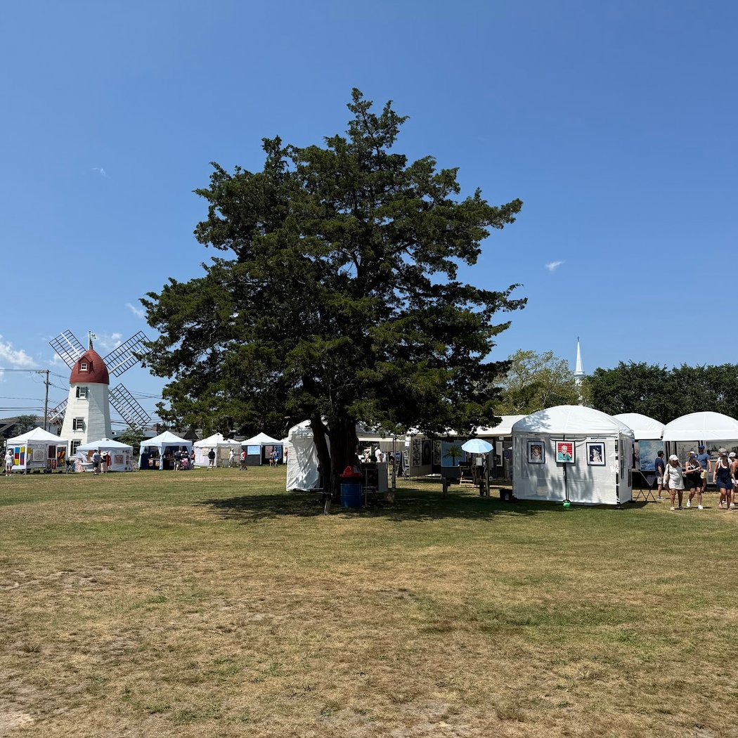 The Great Lawn 1