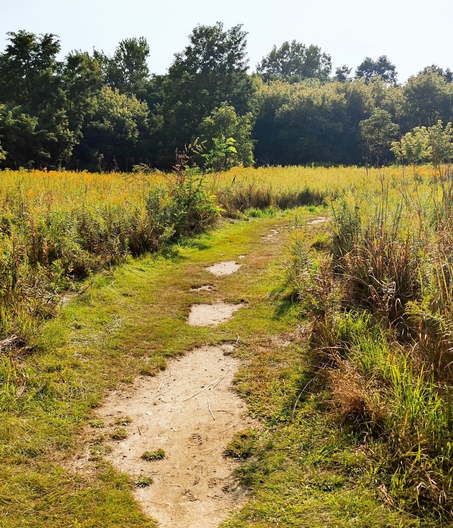 Saginaw Forest Trailhead and Parking 3
