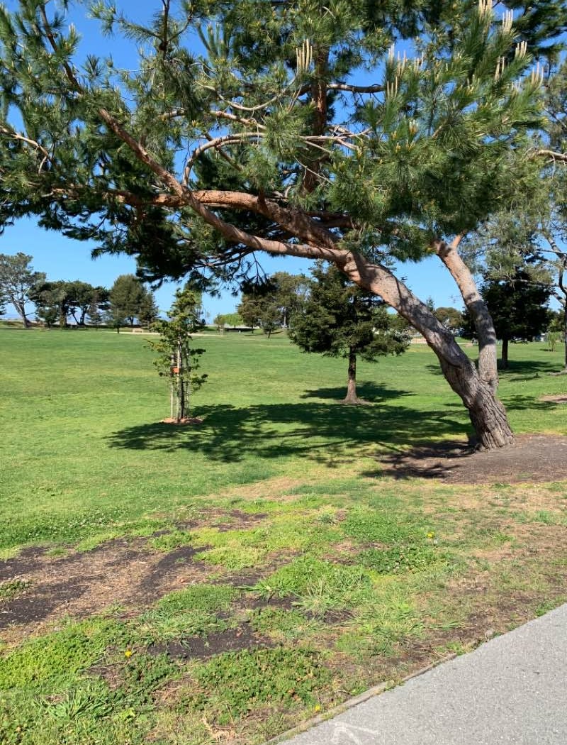 Marina Park 2