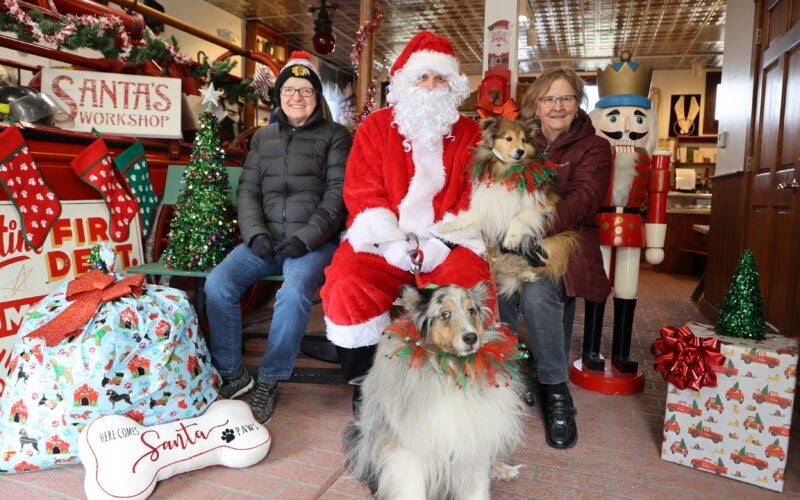 Santa Paws 1