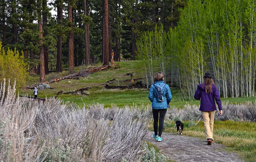Wellness Walks 1