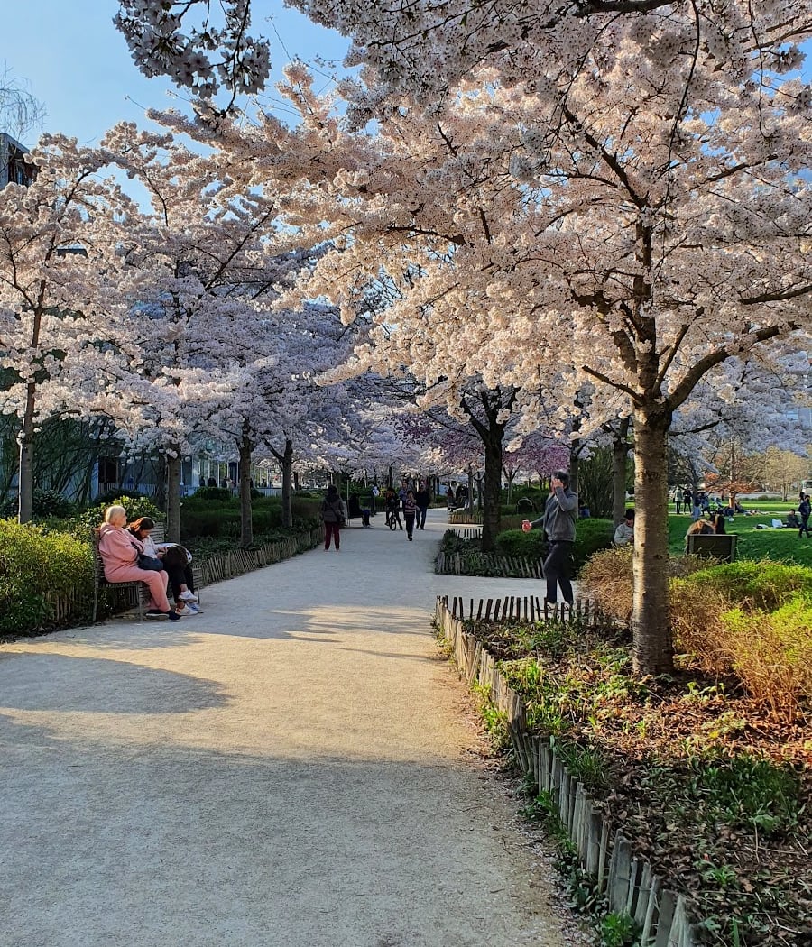 Parc de Billancourt 5